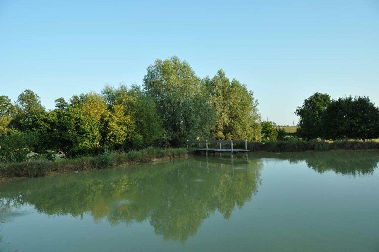La Ferme D'Aristide Bed & Breakfast Saillenard Bagian luar foto